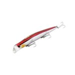 dash-minnow-arxikh