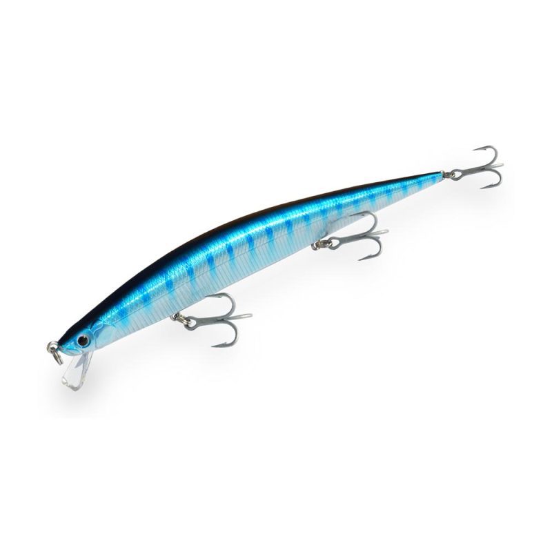 dtd-barracuda-long-casting1