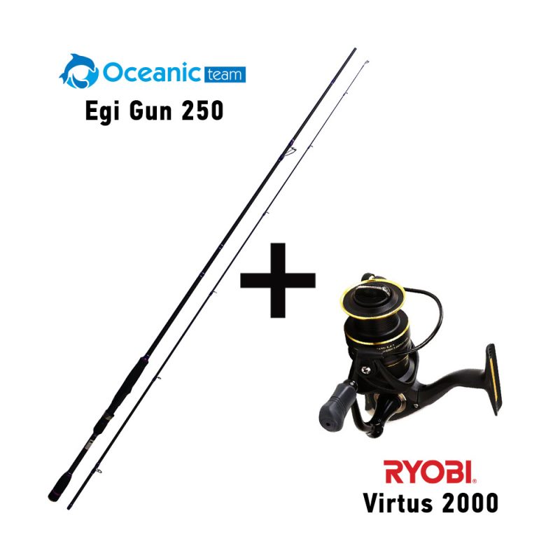 egi-gun-250-ryobi-virtus-2000
