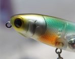 lep
