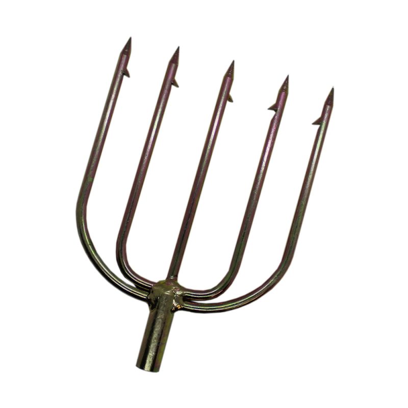 oceanic-team-pentaaina