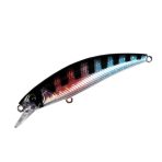 tiny-minnow-005
