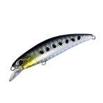 tiny-minnow-0062