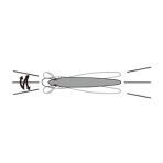 yozuri-pins-minnow-sxhma-1