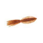 ecogear-power-squid-7-first